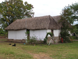 Palma Marrachada